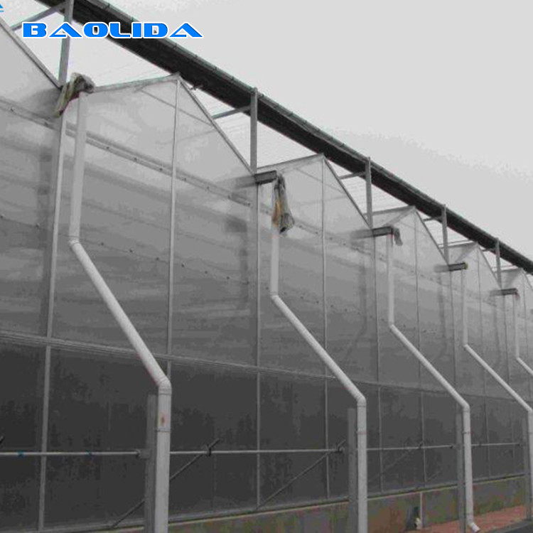 Agriculture Film Clear Polycarbonate Greenhouse Transparent Square Steel Frame Coating
