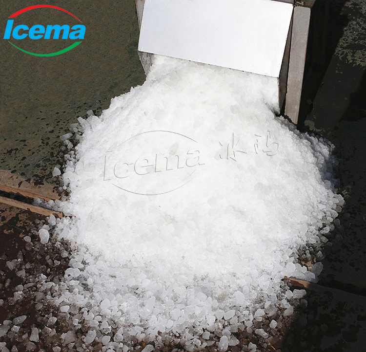 Household Juicer Ice Crusher Commercial Hotel Outdoor