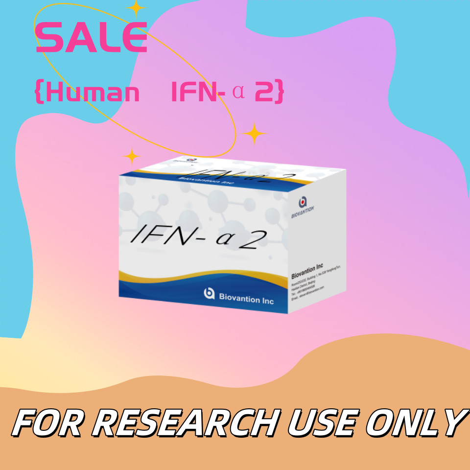 Elisa Reagents Kit Human IFN-α2 for Research Use Elisa Reagents High sensitivity