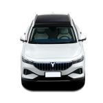 Luxury Energy Vehicles High Speed Mpv Dongfeng Voyah Free Pure Electric EV SUV