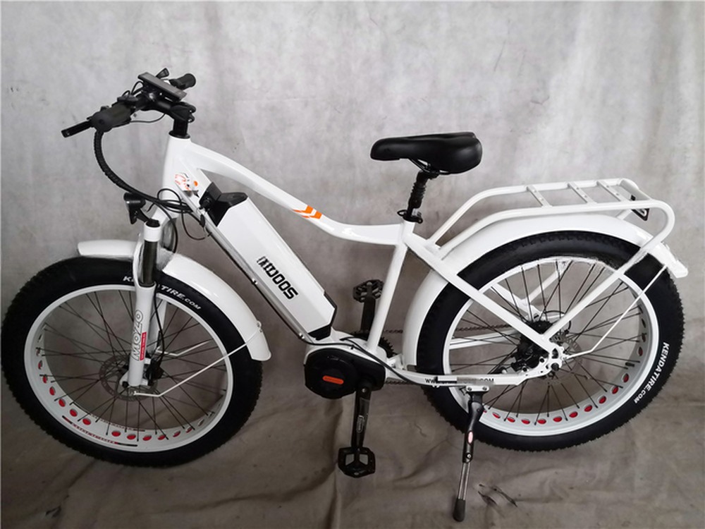 1000W Bafang Mid Drive Motor Alloy Rear Carrier Central Electric Bike with Standards
