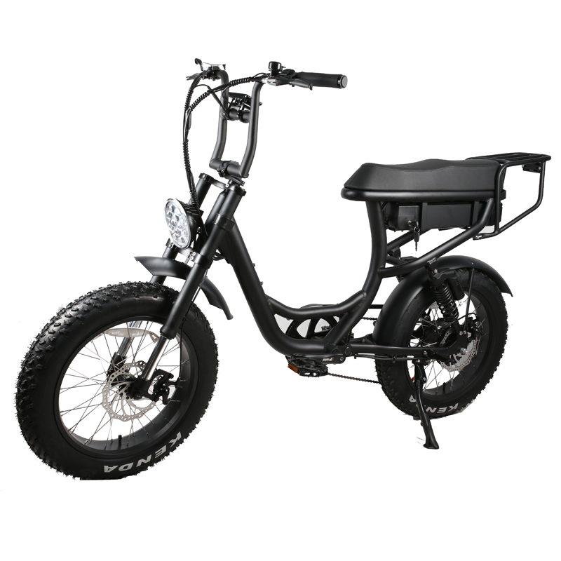 Aluminum Alloy 6061 Frame 2 Seat 500W 750W Off-road Step Through 20 inch Fat Tire Electric Bike Beach Bikes Cruisers
