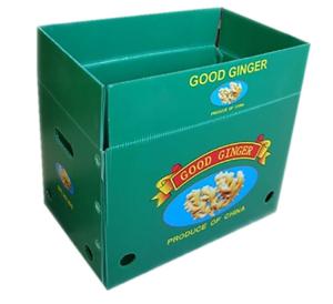 Quality Ginger Vegetable Corrugated Boxes Cartonplast Corrugated Polypropylene Boxes wholesale