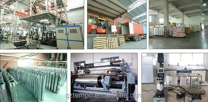 Film Pet Cpp Opp Bopp Vacuum Metallizer for Plastic Electric Coating Materials Provided