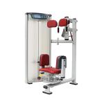 Gym Use Matrix Strength Training Equipment Commercial Bodybuilding Rotary Torso