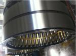 110mm 254735Q brass cage Full Complement Needle Double Row Bearing Roller