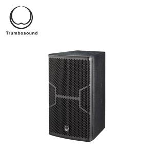 Quality 55Hz 10 Inch 2 Way Full Range Speaker For Club KTV wholesale