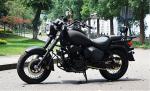 115km/H Max Speed 250cc Chopper Motorcycle 12L Fuel Tank For Forest Road