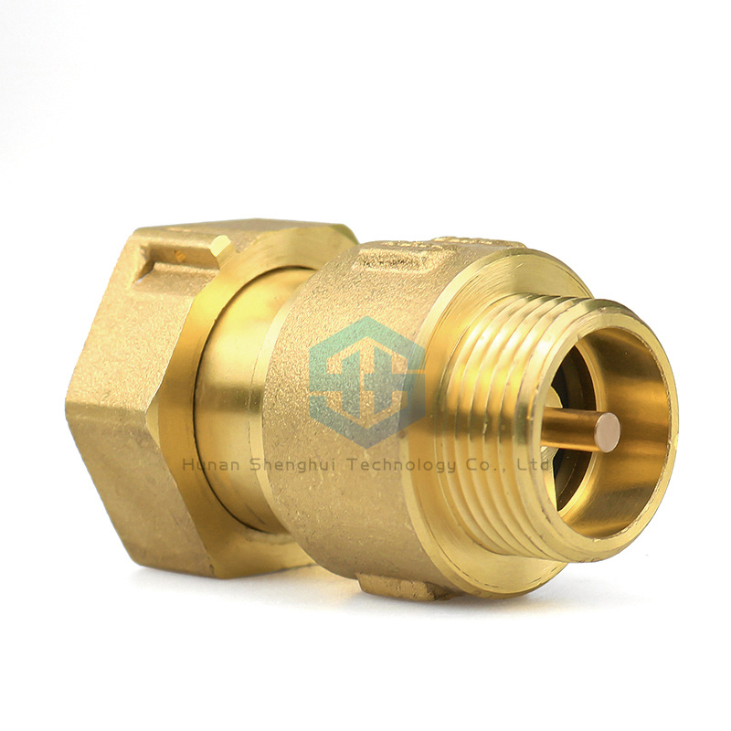 2 Inch Brass Spring Check Valve Female Thread for Engineering
