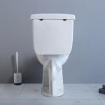 Compact Two Piece Toilet Wall Hung Space Saver 720x400x800mm