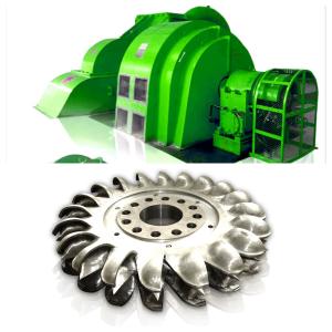 Quality Hydropower Station Pelton Turbine Generator with 50/60Hz Frequency wholesale