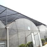 Galvanized Steel Frame Multi Span Agricultural Greenhouses Flower Vegetable