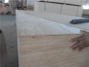 Quality WB Phenolic Bintangor Plywood wholesale