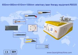 Quality 650nm 810nm 980nm 1064nm Diode Laser Hair Removal Portable For Animal Use wholesale