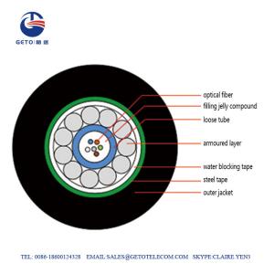 Quality 250um 2 Cores Central Tube 1000m HDPE OM4 Fiber Optic Cable wholesale