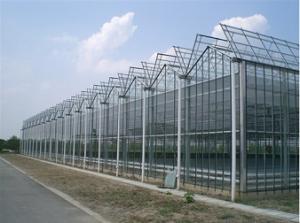 Quality Roof Full Opening Green House wholesale