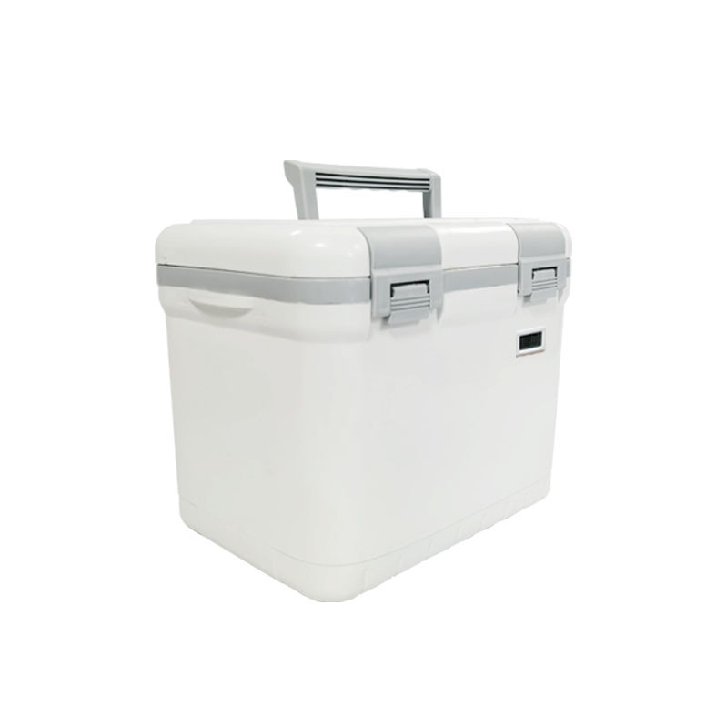 Insulated Medical Cooler Box (FS-6L) Small Ice Box For Medicine