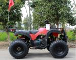 CVT Transmission Youth Racing Atv Air Cooled CDI Ignition