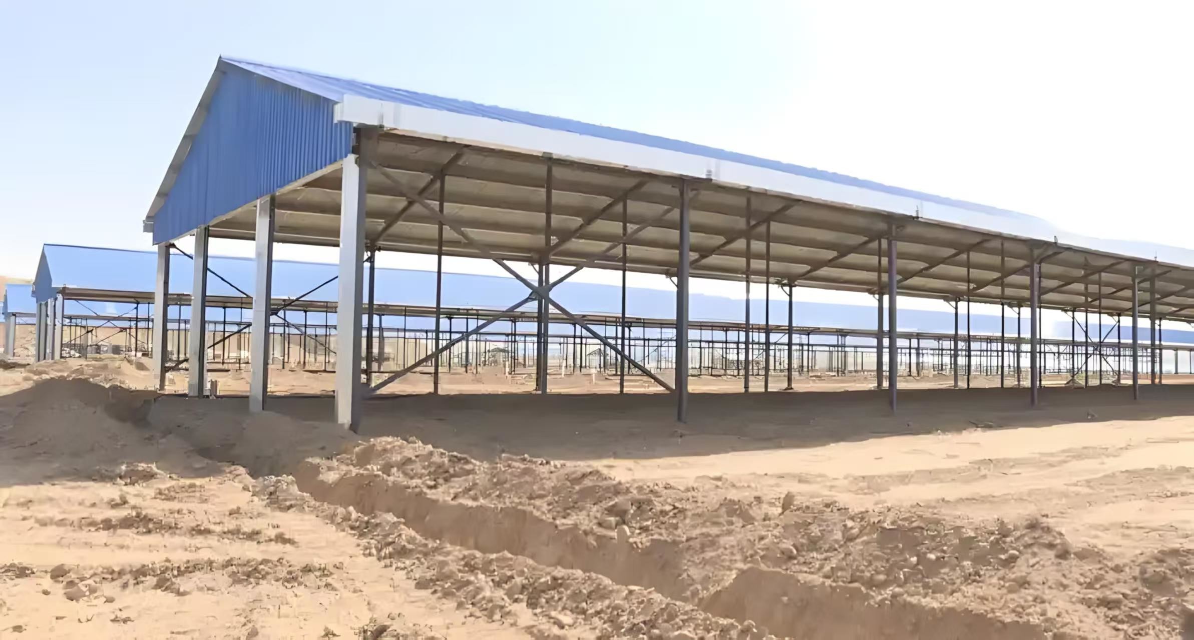Modern Cattle Sheds Steel Structure Cow Barn And Cow Shed Customized