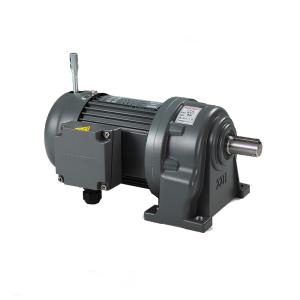 Quality Horizental Installation 750W Speed Reducer Motor With Brake Living Stocks Low Noise wholesale