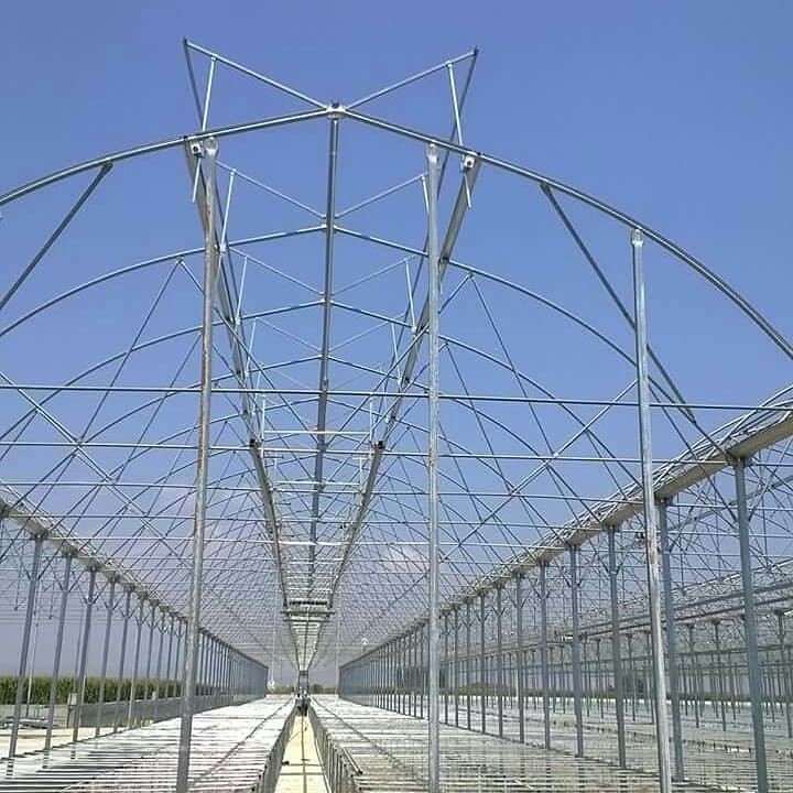 Large Agricultural Polycarbonate Sheets Greenhouse Price From China