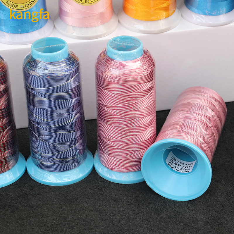 120D/2 2 Yarn Count Boho Polyester Variegated Embroidery Thread 4000 Yards 96 Colors