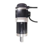 36 Volt 200 Watt 3000RPM Small DC Servo Motor Swing Barrier Gate Railway Station