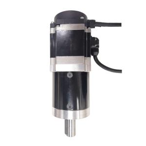 Quality 36 Volt 200 Watt 3000RPM Small DC Servo Motor Swing Barrier Gate Railway Station use wholesale