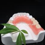 High Esthetics Dentsply Lucitone 199 Acrylic Denture acrylic resin for dentures