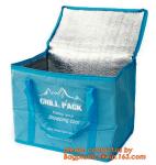 Promotional Insulated Cooler Bag for Frozen Food, promotional ice bag cooler