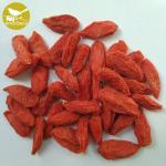 Amorberry Bulk OEM Certificated Chinese Goji Berry From Manufacturer