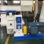 Low Energy Biomass Wood Pellet Machine for Wood Pellet Making