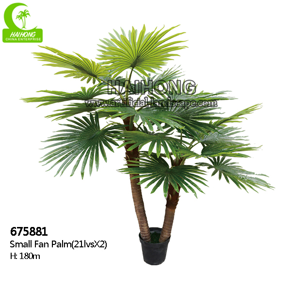 Small Palm Trees