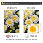 Dual CCT 2700K+6500k Bi-color Warm+Cool White CRI 70 80 90 95 High Power 100W