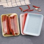 Food Grade 260x210x15mm Disposable plastic Vegetable packing Trays