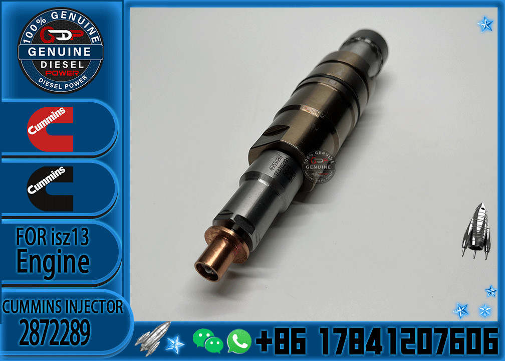 Fuel Injector Diesel Engine Injector Common Rail Injector Repair Kit 2488244 2872544 2872289 2872284 4955080