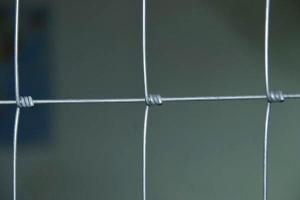 Quality Hot Dipped Galvanized Field Fence wholesale