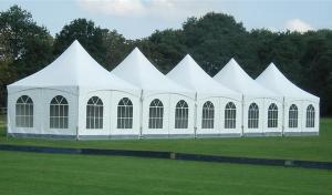 Quality 6x6 Luxury Garden High Peak Pagoda Wedding Party Canopy Tent wholesale