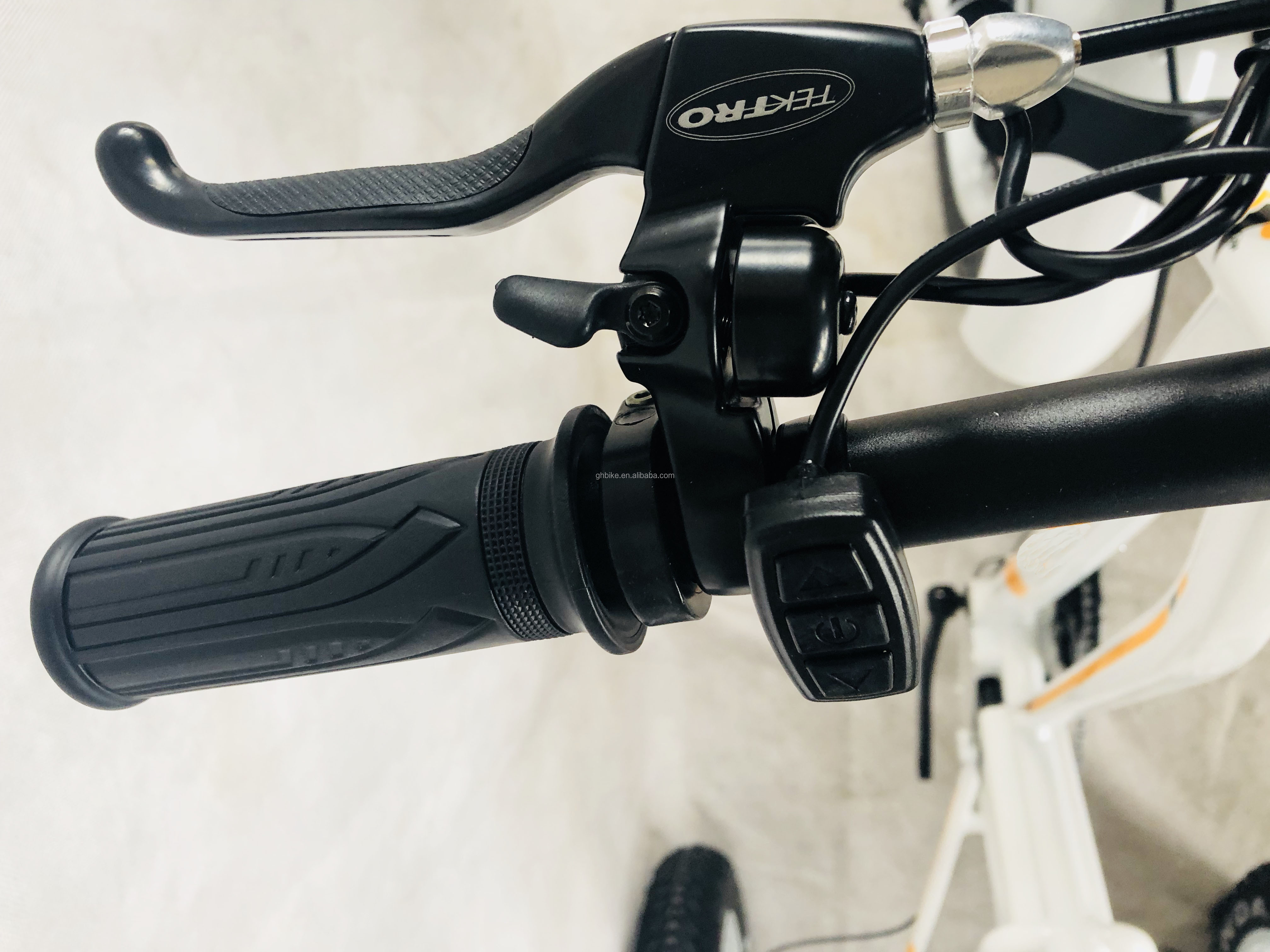 48V 750W Front Motor 24" Adult Electric Tricycle with 17AH Lithium Battery and Fat Snow Tires