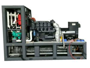 Quality 280KVA 220KW Biogas Electric Generator Stable Performance Easy Maintenance wholesale