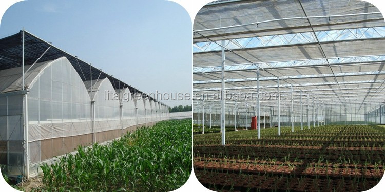 Large Transparent Plastic Film Multi-Span Greenhouse Grow Tent Transparent and Durable