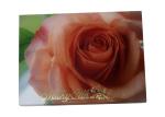 Customized Cardboard Packaging Paper Boxes