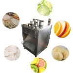 220V 110V Vegetable Chopper Machine Vegetable Cutter Machine 0.75KW