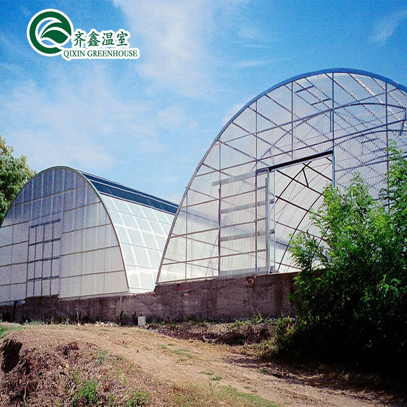 Commercial Aquaponic Aquarium System Prefabricated PO Greenhouses for Vegetables