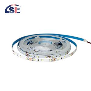 Quality 8mm10mm 60leds 3000K4000K6500K DC12V24V Warm White Natural White Die-Cutting Board SMD2835 Led Strip Light wholesale