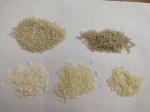 SIEMENS Artificial Rice Processing Line Multifunction Twin Screw Extruder