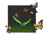 Dustproof P10 Outdoor Full Color Led Display For Shopping Mall Advertising
