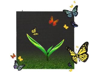 Quality Dustproof P10 Outdoor Full Color Led Display For Shopping Mall Advertising wholesale