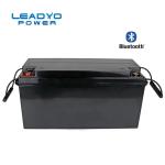 Bluetooth Lithium Ion Battery 24V 100ah Boat Marine Lifepo4 Li Ion Battery