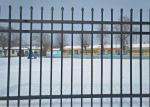 8FT Width Black Ornamental Iron Fence Wrought Iron Fence Panels Wholesale
